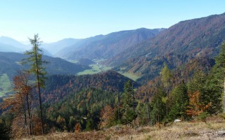 Gem.St.Georgen_Herbst.JPG