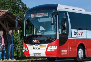 Bus.jpg