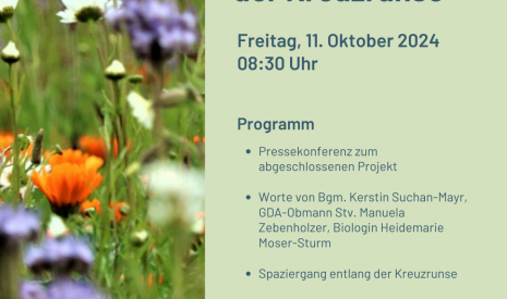 Biodiversität an der Kreuzrunse