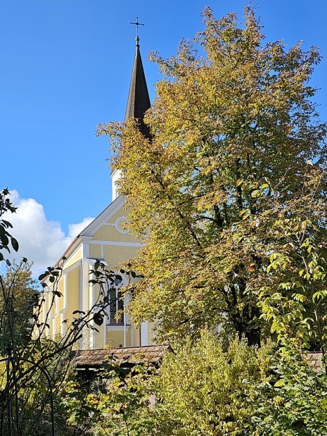20241006_105441.jpg