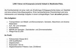 Fa. Leichtfried Kranfahrersuche.jpg