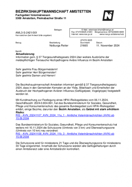 Anschreiben-11.11.2024.pdf