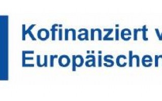 Logo_kofinanziert durch die EU.JPG