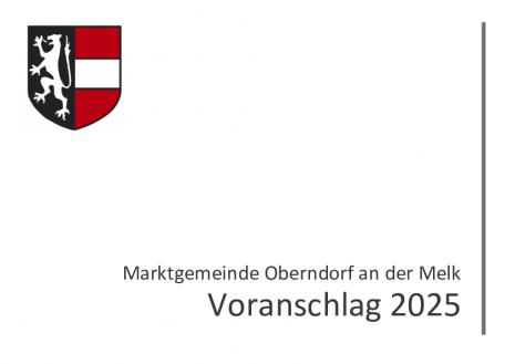 2024.12.06_Voranschlag 2025_nach GR-Sitzung.pdf