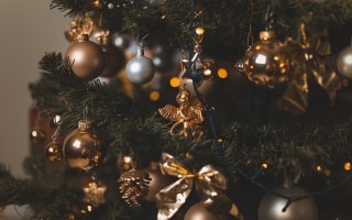 christmas-tree-5758765_1280.jpg