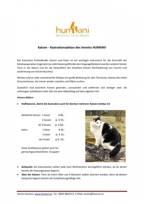 kastrationsaktion-katzen-humani (1).jpg