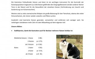 kastrationsaktion-katzen-humani (1).jpg