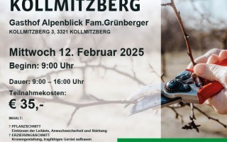 Plakat-Baumschnittkurs-Kollmitzberg.jpg