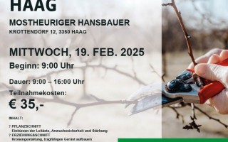 Plakat-Baumschnittkurs-Haag-2025.jpg