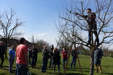 Foto_Baumschnittkurs_03