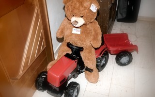 DSC_2113.JPG
