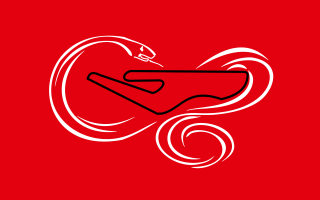 Logo Divinzenz.png