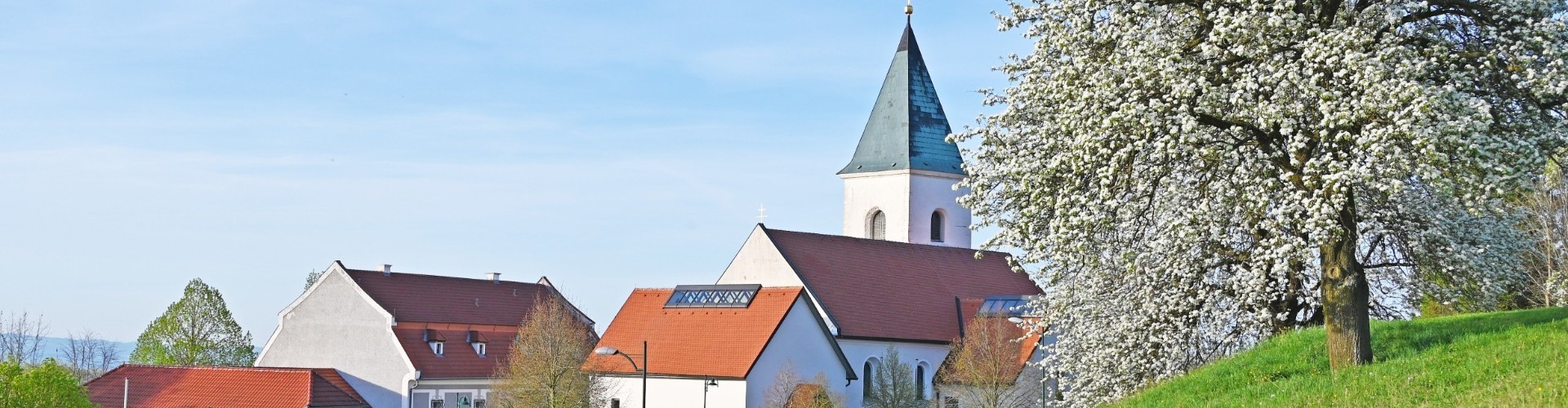 Hintergrund Frühling