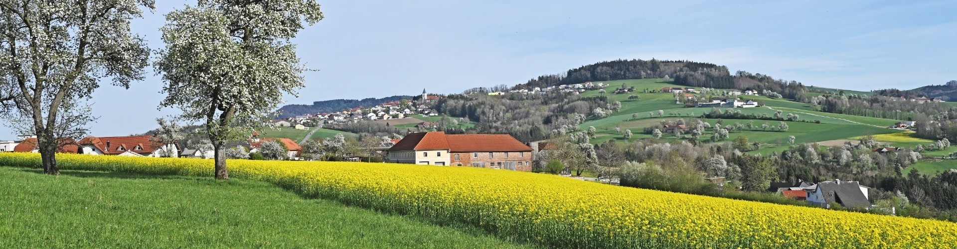 Hintergrund Frühling.JPG