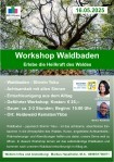 Plakat Waldbaden Kematen2.jpg