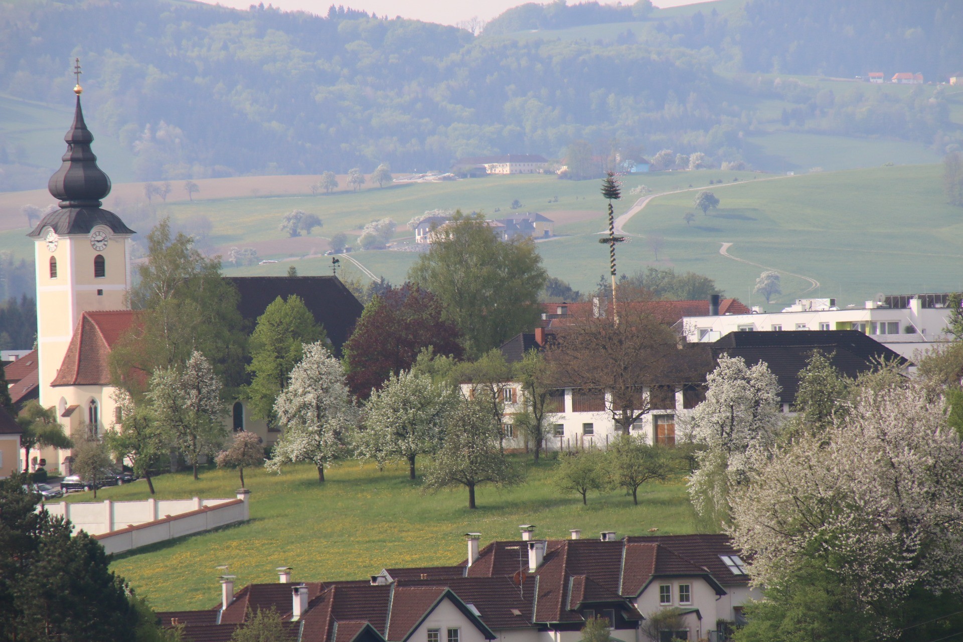 IMG_9953.JPG