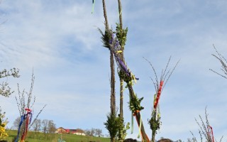 DSC_3866.JPG