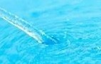 Poolbefüllung.jpg
