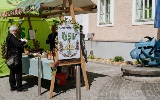 S13_25-04_Mostkirtag-klein-298.jpg
