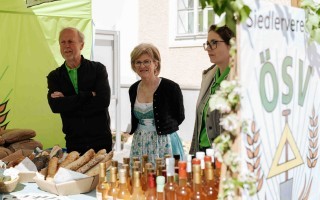 S13_25-04_Mostkirtag-klein-300.jpg