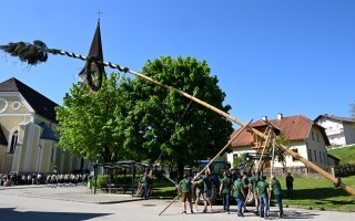 DSC_8274.JPG