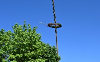 DSC_8278.JPG