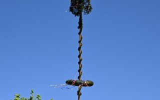 DSC_8283.JPG
