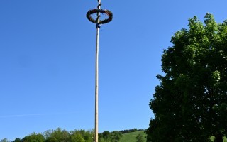 DSC_8289.JPG