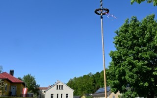 DSC_8731.JPG