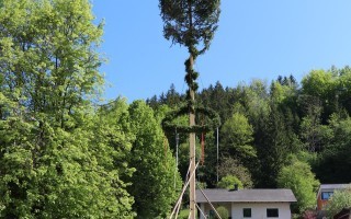 IMG_1032.JPG