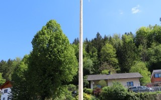 IMG_1122.JPG