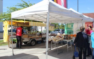 IMG_4626.JPG