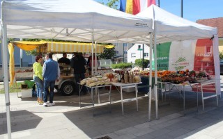 IMG_4659.JPG