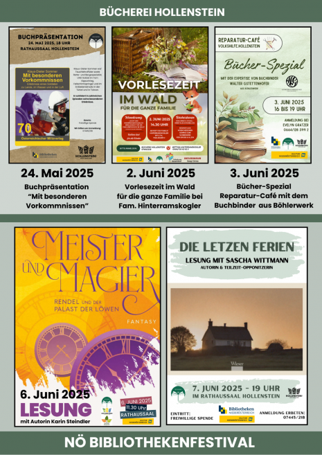 NÖ Bibliothekenfestival in Hollenstein.png