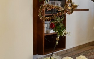 DSC_9869.JPG