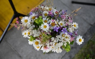 DSC_0662.JPG