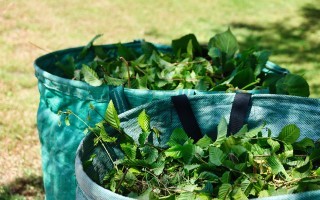 green-stuff-7276322_1280.jpg