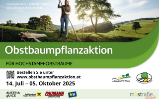 Inserat Pflanzaktion 2025 - Moststraße (2).png