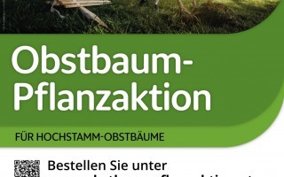 Vorlage A3 Pflanzaktion 2025 - Moststraße.jpg