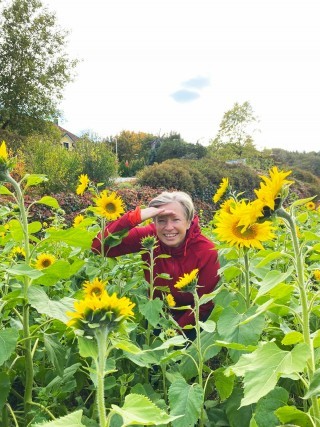 Personalsuche in Sonnenblumen.jpg
