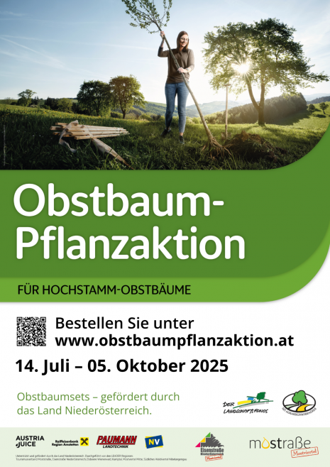 Vorlage A3 Pflanzaktion 2025 - Eisenstraße.png
