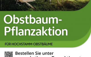 Vorlage A3 Pflanzaktion 2025 - Eisenstraße.png
