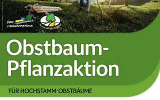 Insta-Post Pflanzaktion 2025 1080x1350px - Eisenstraße.png