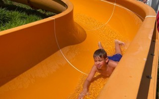 IMG_8090.jpeg