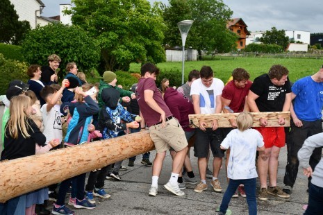 2025-06-08 Maibaum zurückbringen, LJ Wolfsbach (17).JPG