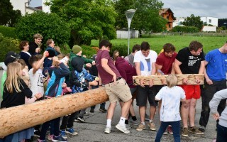 2025-06-08 Maibaum zurückbringen, LJ Wolfsbach (17).JPG