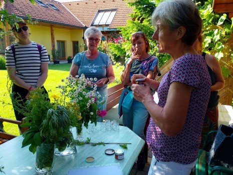 Kräuterwanderung Frauengesundheit.jpg