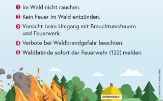 BMLUK_Internetartikel_Plakat_Waldbrand_72dpi_250606.jpg