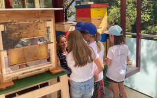 Eine Frau und mehrere Kinder schauen auf einen Holz-Bienenstock. Im Hintergrund sind Bäume und ein Gebäude zu sehen.