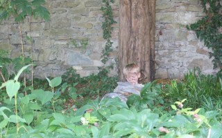 Ein Kind sitzt zwischen üppigem Grün vor einem Baumstamm.